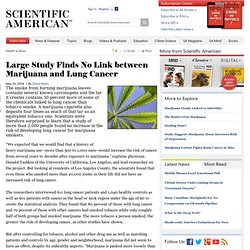 Large Study Finds No Link between Marijuana and Lung Cancer