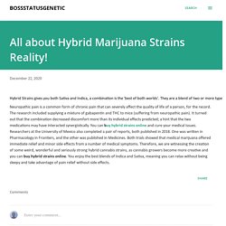 All about Hybrid Marijuana Strains Reality!