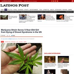 Marijuana Strain Saves 5-Year-Old Girl from Dying of Dravet Syndrome in the US : US
