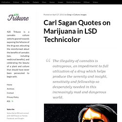 Carl Sagan Quotes on Marijuana in LSD Technicolor