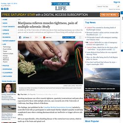 Marijuana relieves muscles tightness, pain of multiple sclerosis: Study