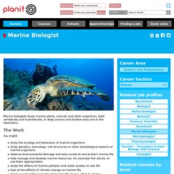 Marine Biologist Biology