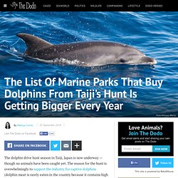 The List Of Marine Parks That Buy Dolphins From Taiji’s Hunt Is Getting Bigger Every Year