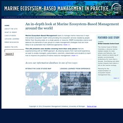 Marine Ecosystem-Based Management