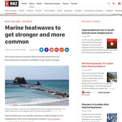 Marine heatwaves to get stronger and more common