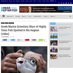 GREEK REPORTER (GR) 15/06/19 Greek Marine Scientists Warn of Highly Toxic Fish Spotted in the Aegean (video)
