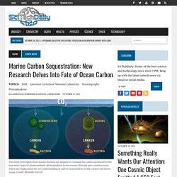 Marine Carbon Sequestration: New Research Delves Into Fate of Ocean Carbon