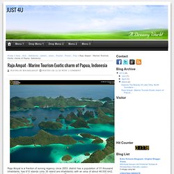 eM-Blog: Raja Ampat - Marine Tourism Exotic charm of Papua, Indonesia