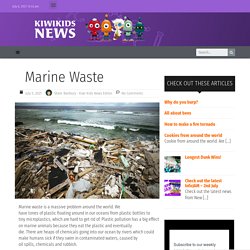 Marine Waste