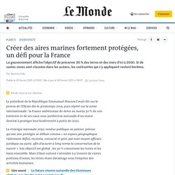 Créer des aires marines fortement protégées, un défi pour la France