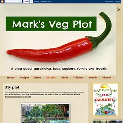 Mark's Veg Plot: My plot