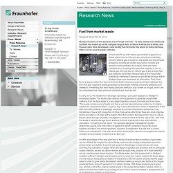 Fuel from market waste - Research News - February 2012 - Topic 3
