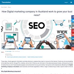How Digital marketing company in Auckland work to grow your business? : Toevolution