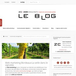 Web marketing Bordeaux:La veille dans le vignoble