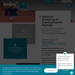 Bachelor Marketing et Communication Digitale - ESDES Lyon Business School