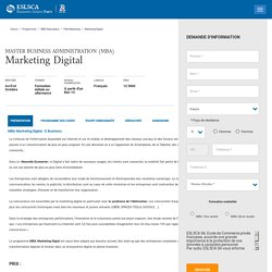 MBA Marketing Digital et E-Business