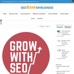 SEO Marketing, SEO eCommerce, SEO FaceBook Shop Marketing - SEO Rank My Business