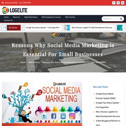 Reasons Why Social Media Marketing is Essential For Small Businesses - Logelite