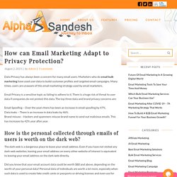 How can Email Marketing Adapt to Privacy Protection?