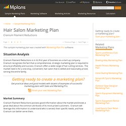 Hair Salon Sample Marketing Plan - Situation Analysis