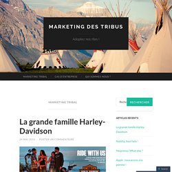 marketing des tribus