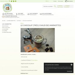 Les idées Marmottes / Cocktails / Chocolat chaud épicé - Les 2 Marmottes