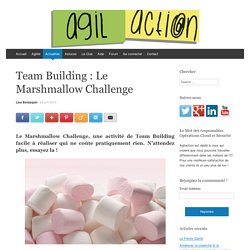 Team Building : Le Marshmallow Challenge