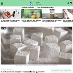 Marshmallows maison : une recette de guimauve facile et zéro déchet