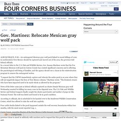 Gov. Martinez: Relocate Mexican gray wolf pack