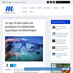 Le top 10 des spots où pratiquer la randonnée aquatique en Martinique - Mediaphore