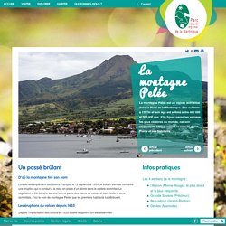 La montagne Pelée - Parc naturel régional de la MartiniqueParc naturel régional de la Martinique