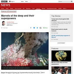 Marvels of the deep and their superpowers