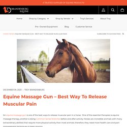 Equine Massage Gun – Best Way To Release Muscular Pain