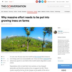 Why massive effort needs to be put into growing trees on farms