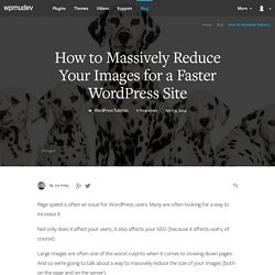 How to Massively Reduce Your Images for a Faster WordPress Site