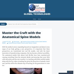 Master the Craft with the Anatomical Spine Models
