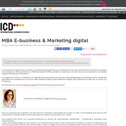 Master Marketing digital - ICD