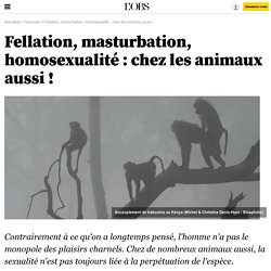 Fellation, masturbation, homosexualité : chez les animaux aussi !