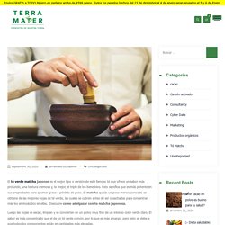 ¿Qué es el Té Matcha y cómo puedes adelgazar con él? – Terra Mater