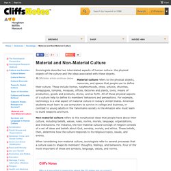 Material and Non‐Material Culture