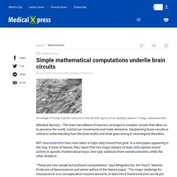 Simple mathematical computations underlie brain circuits