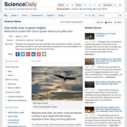 How birds soar to great heights: Mathematical models offer clues to greater efficiency for glider pilots