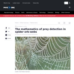 The mathematics of prey detection in spider orb-webs