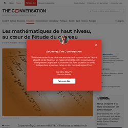 Les mathématiques de haut niveau, au cœur de l’étude du cerveau