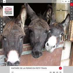 Matinée de la ferme en Petit-Train - Morges Région (Suisse)