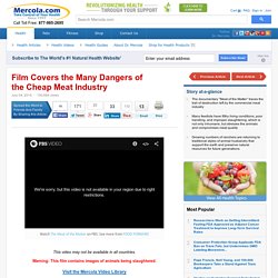 Meat of the Matter Covers the Dangers of the Cheap Meat Industry