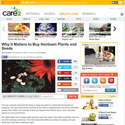 Why it Matters to Buy Heirloom Plants and Seeds