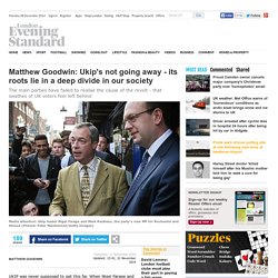 Matthew Goodwin: Ukip's not going away - its roots lie in a deep divide in our society - Comment - Comment - London Evening Standard
