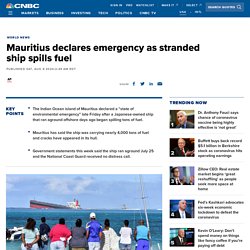 Mauritius declares emergency as stranded ship spills fuel