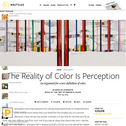 Mazviita Chirimuuta Tells Us How We Should Be Defining Color
